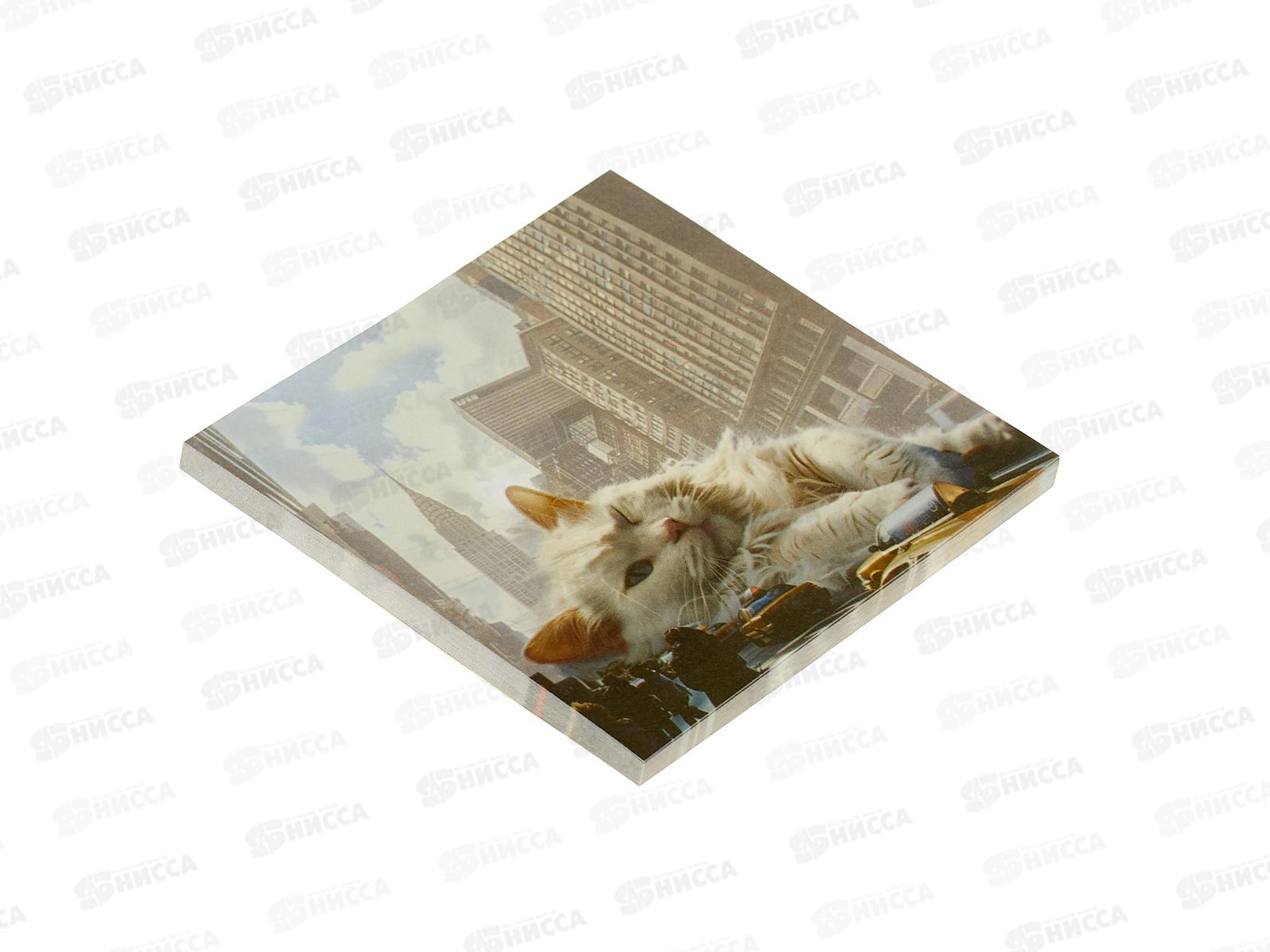 Блок липкий EK  75*75 Big City Cats, 50 ассорти 63183 *12