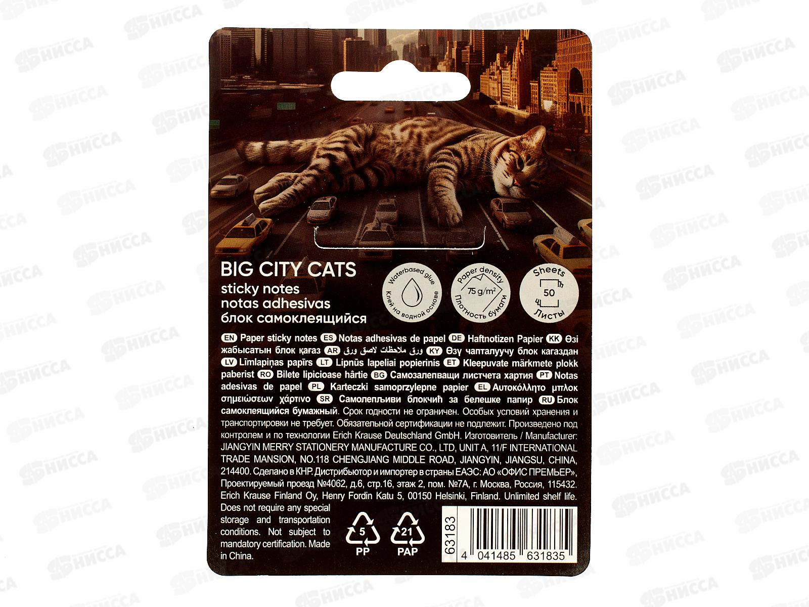 Блок липкий EK  75*75 Big City Cats, 50 ассорти 63183 *12