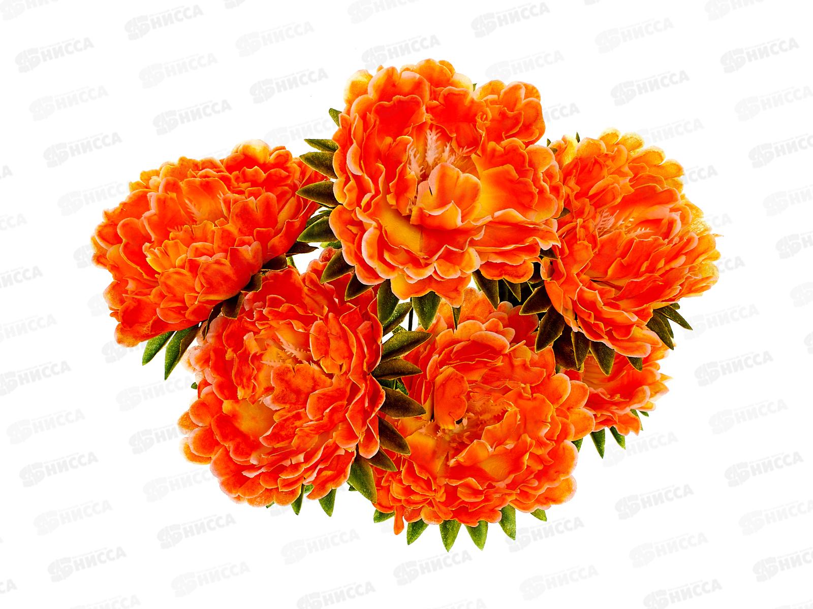 Букет астр 7голов 50см микс А-2 *2/30/150