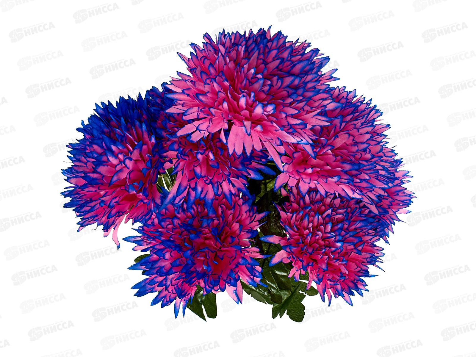 Букет астр 7голов 60см микс А-7 *20