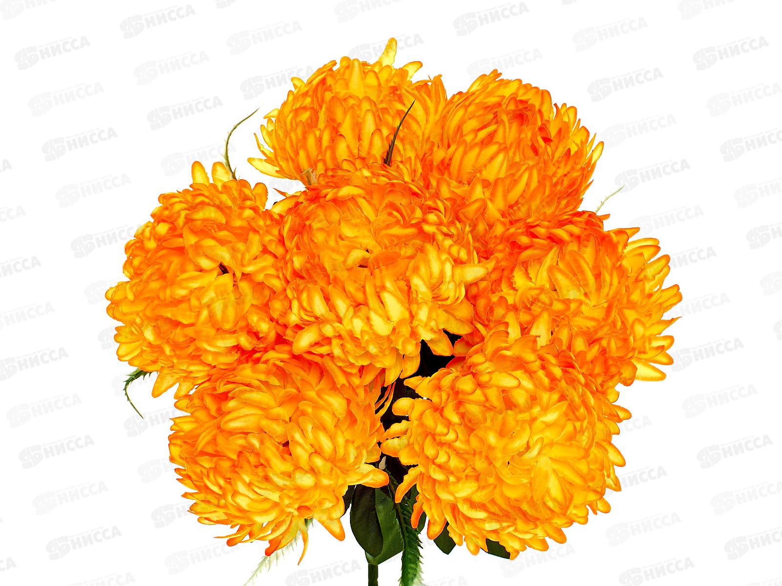 Букет астр 7голов 55см микс 6815 *10