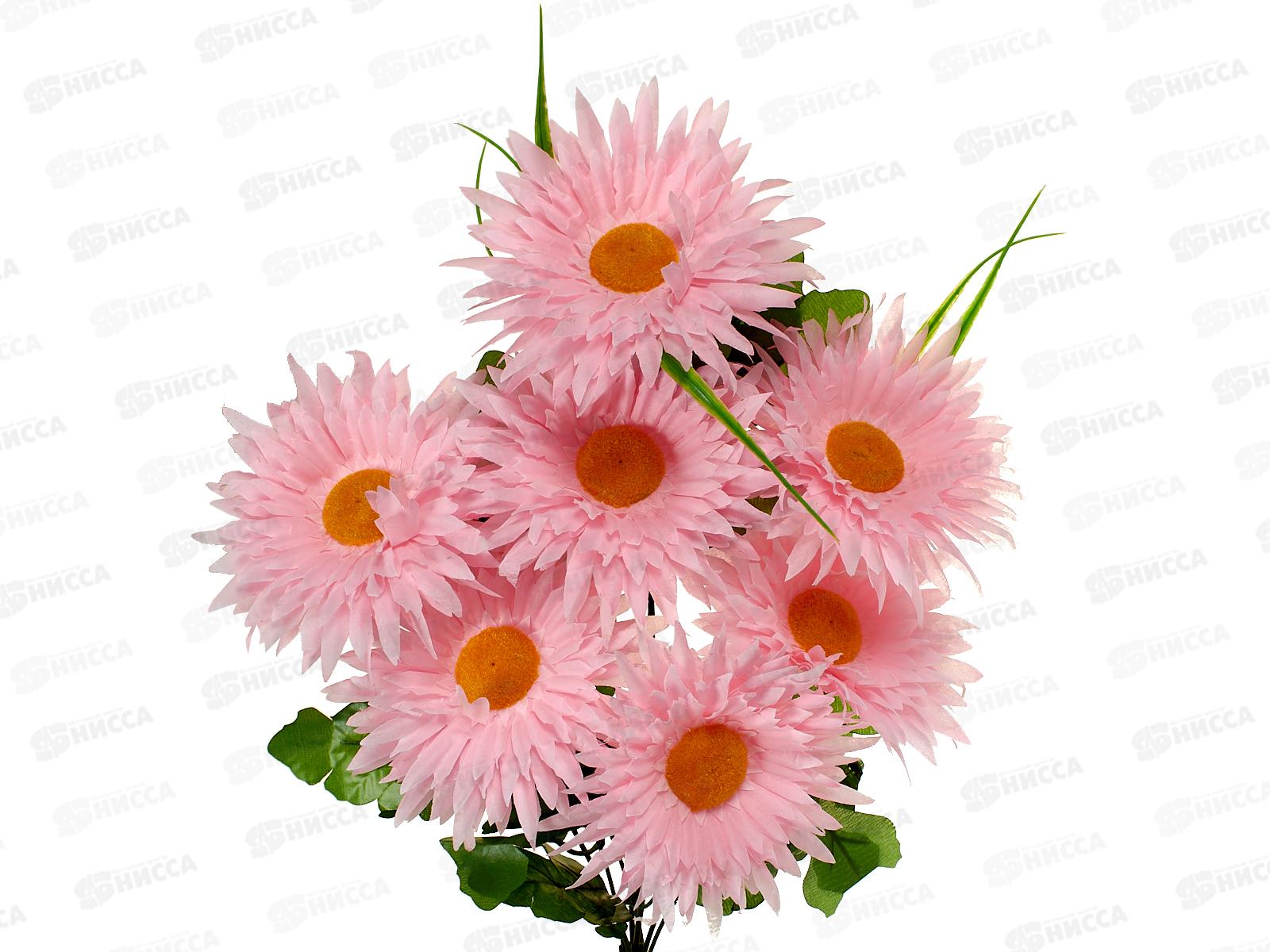 Букет астр 7голов 50см микс №37 *20/160