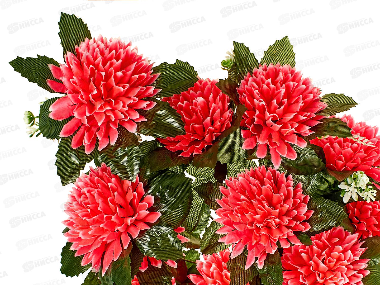 Букет Гвоздик 72см 16голов 6814 *10