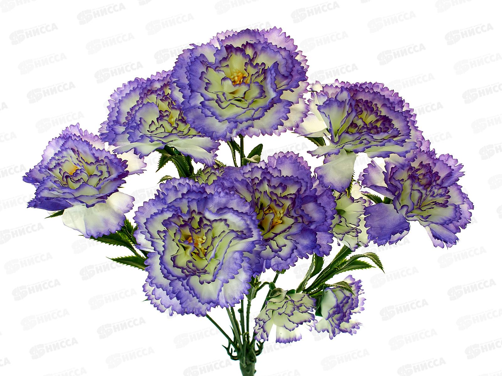 Букет Гвоздик 7голов 45см 6804 *2/20