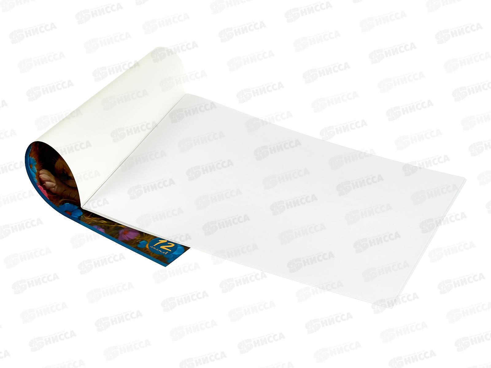 Альбом д/рис.12л Hatber Пушистое счастье А5,  091490 *10