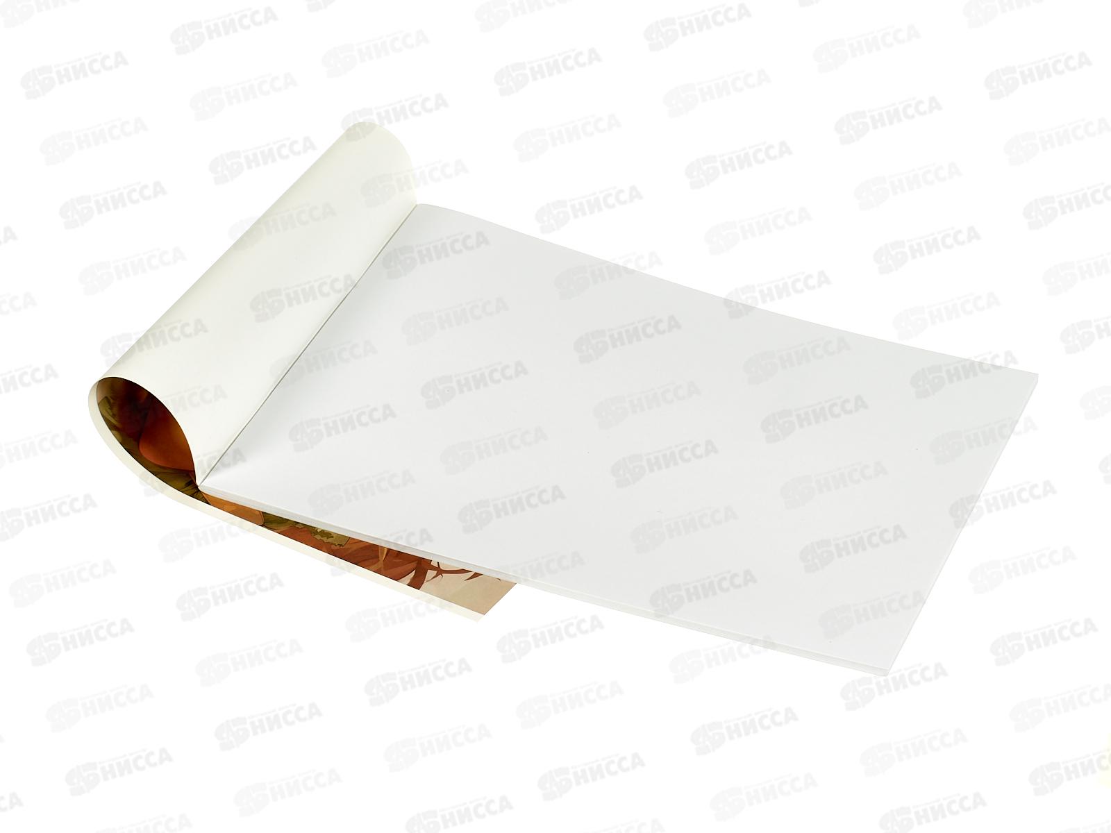 Альбом д/рис.32л Hatber Милый друг. скоба 091479 *45