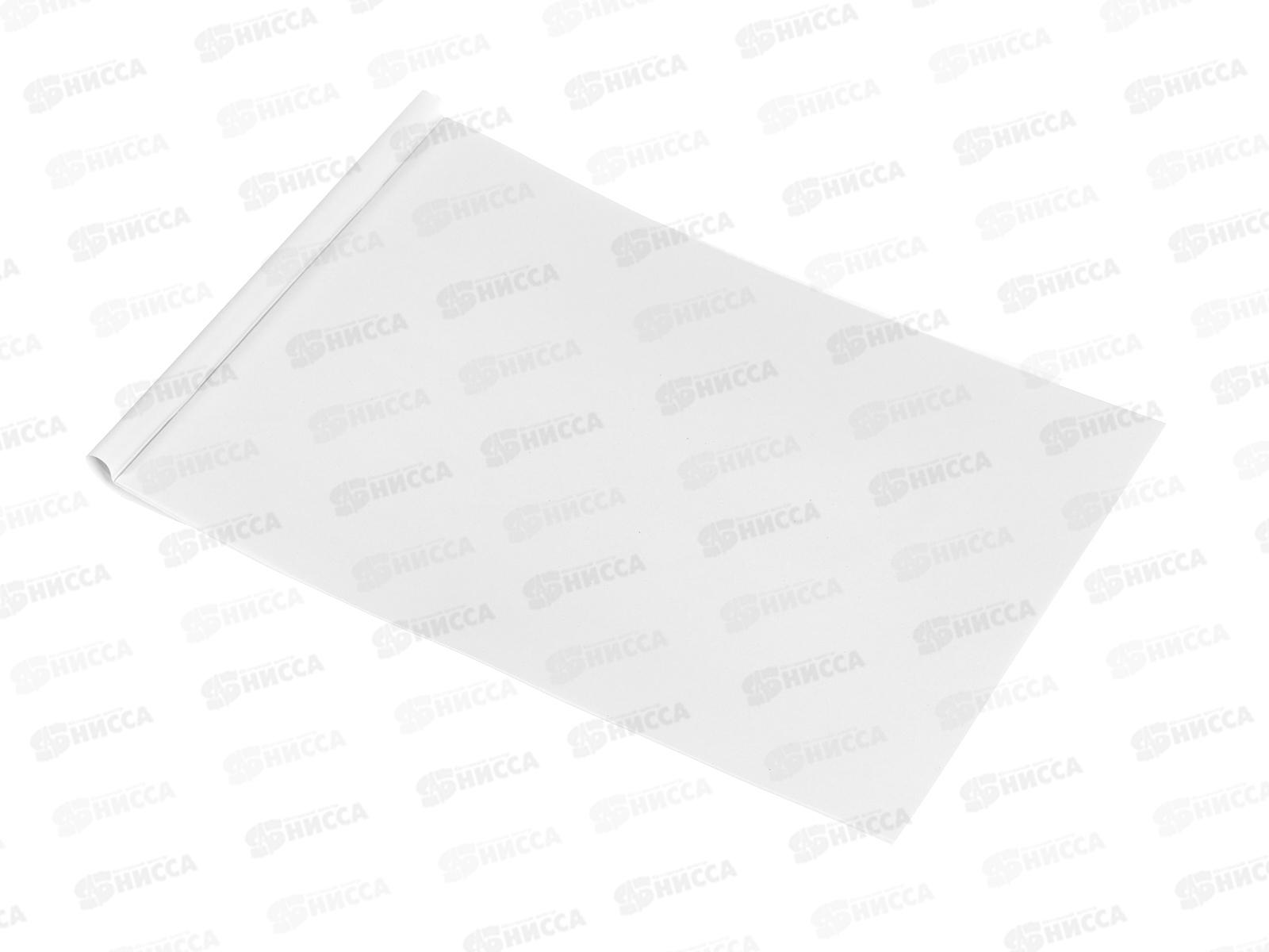 Альбом д/рис.8л Апплика, Мышка-модница, офс С1004-38 *30