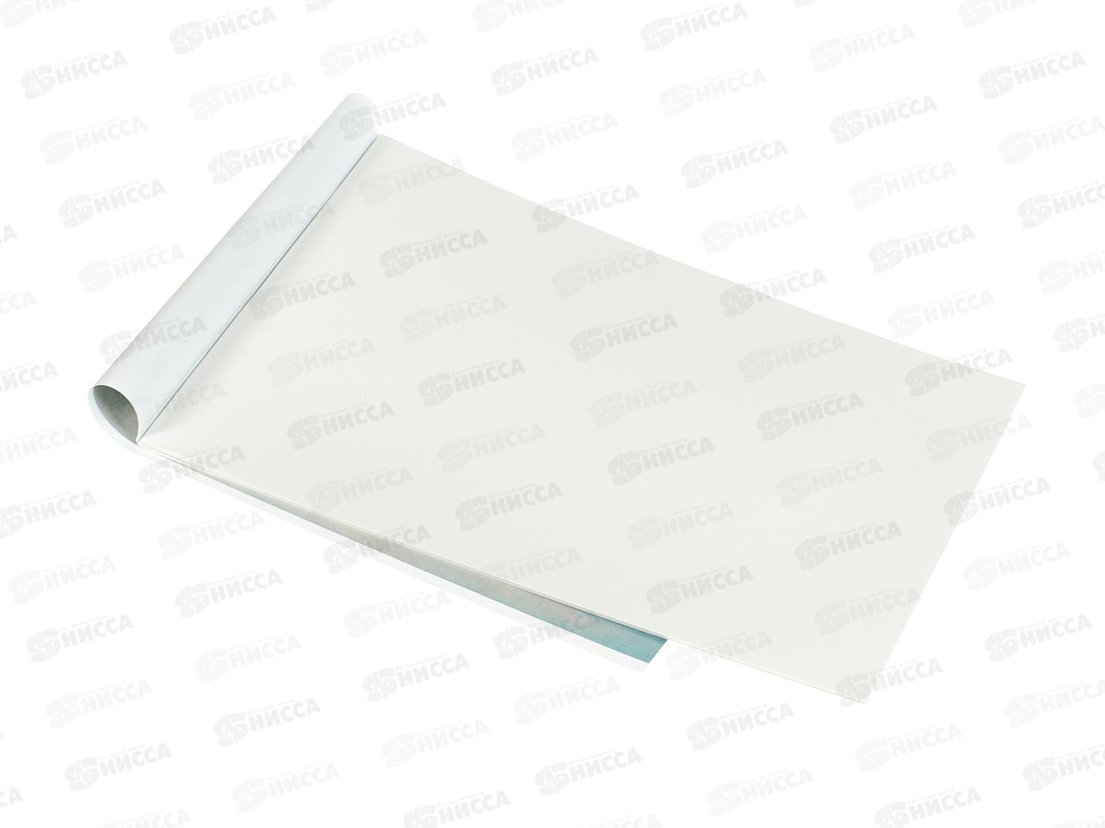 Альбом д/рис.20л Апплика, Щенок с пончиком, офс, С1022-42 *80