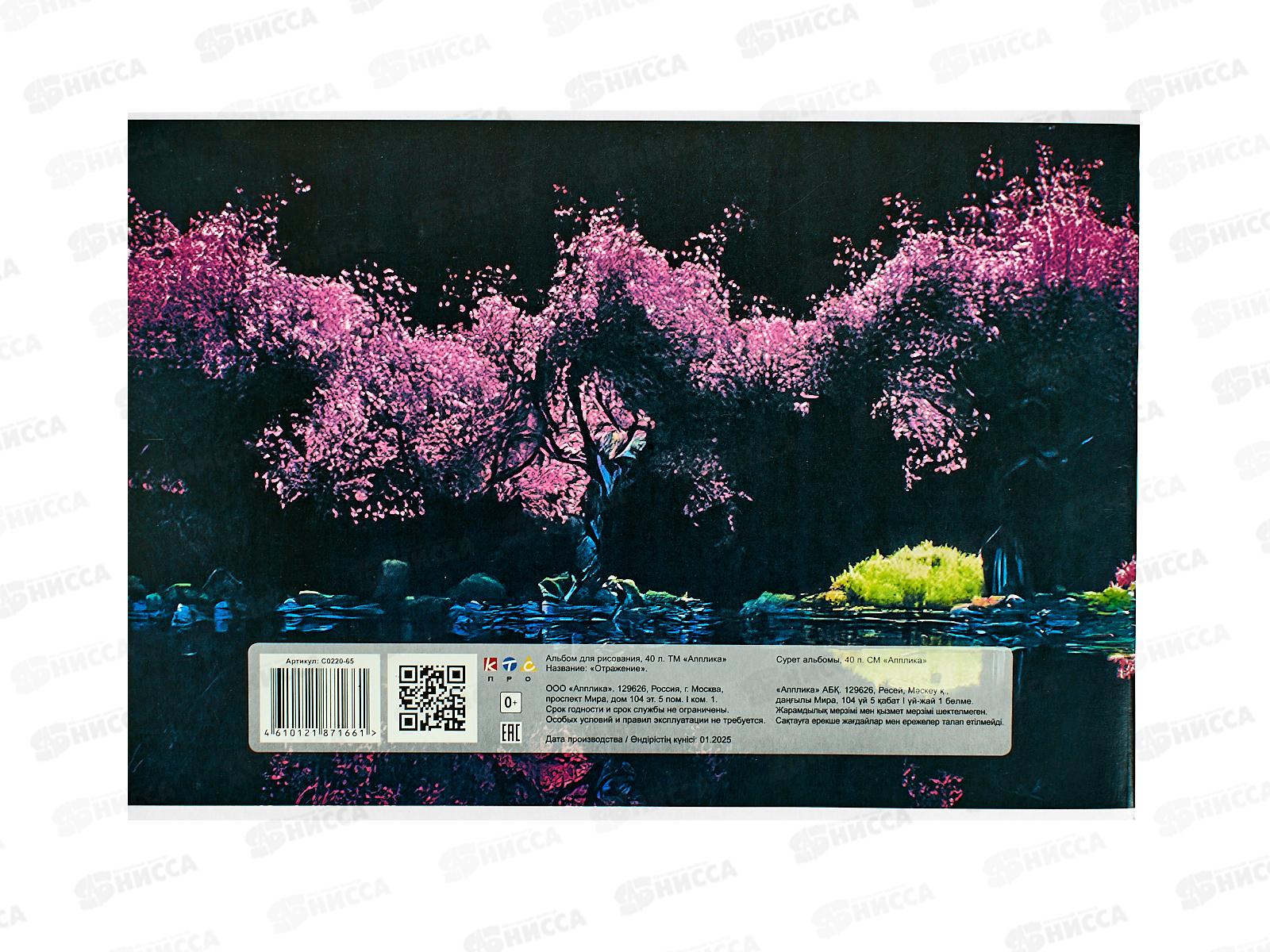 Альбом д/рис.40л Апплика, Отражение, 0220-65 *30