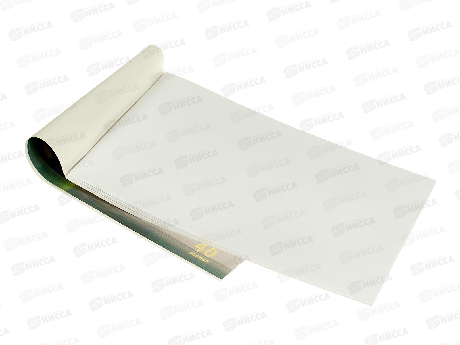 Альбом д/рис.40л Апплика, Смешной пушистик,0220-66  *30