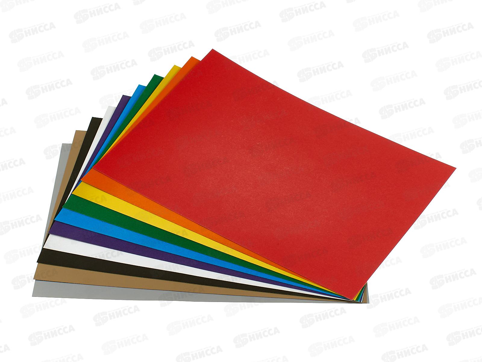 Цветной карт. А4 Апплика 10л 10цв Лисенок. С0010-43 *50