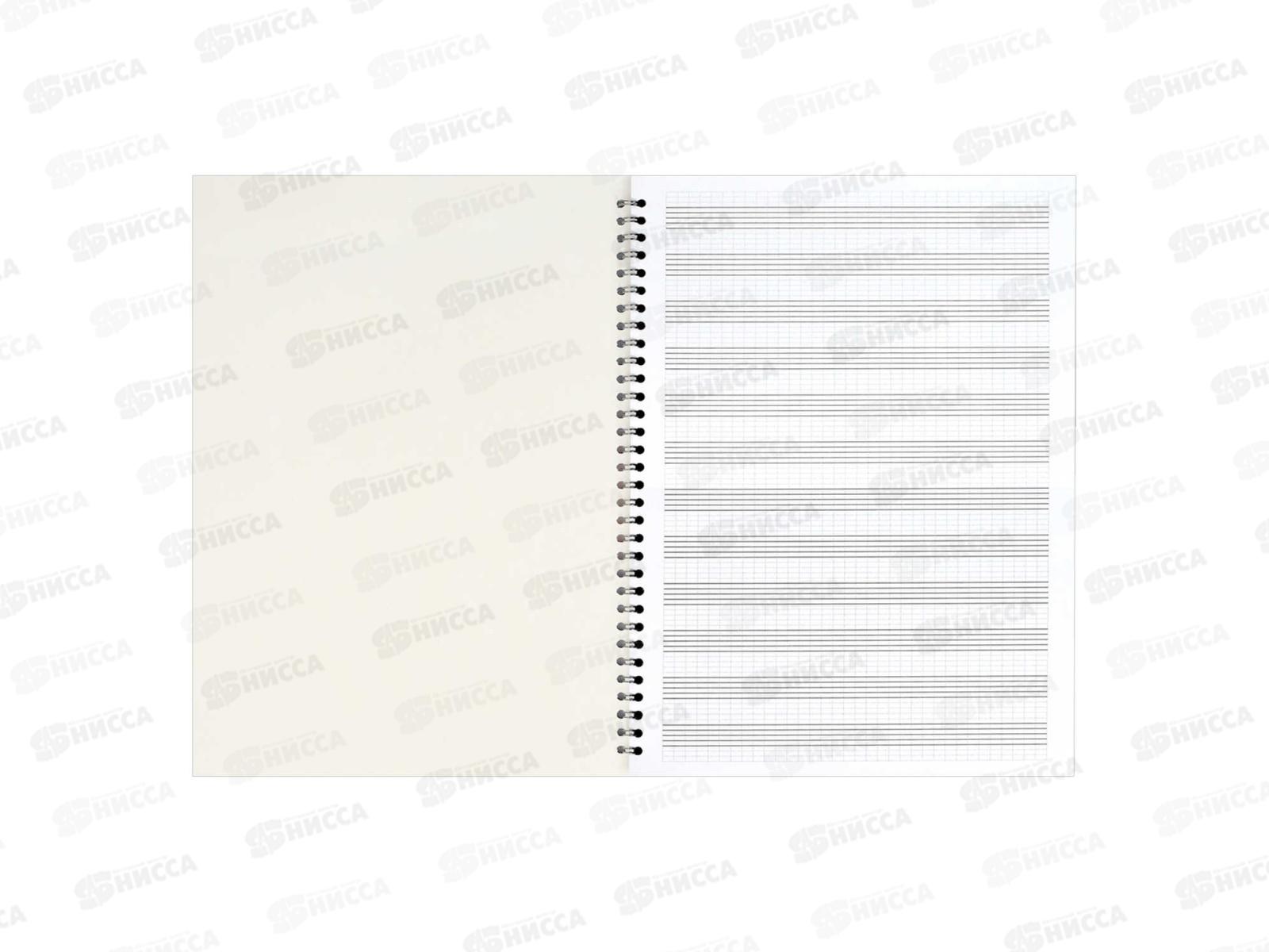 Тетрадь нотн. 32л ФЕН Энергия звука А4, греб. 69902 *20