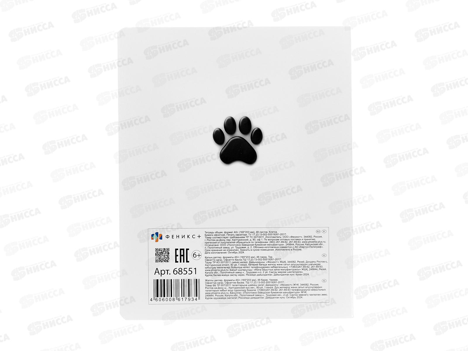 Тетрадь 48л кл. ФЕН Черный кот, мел, офс.,68551 *5/50