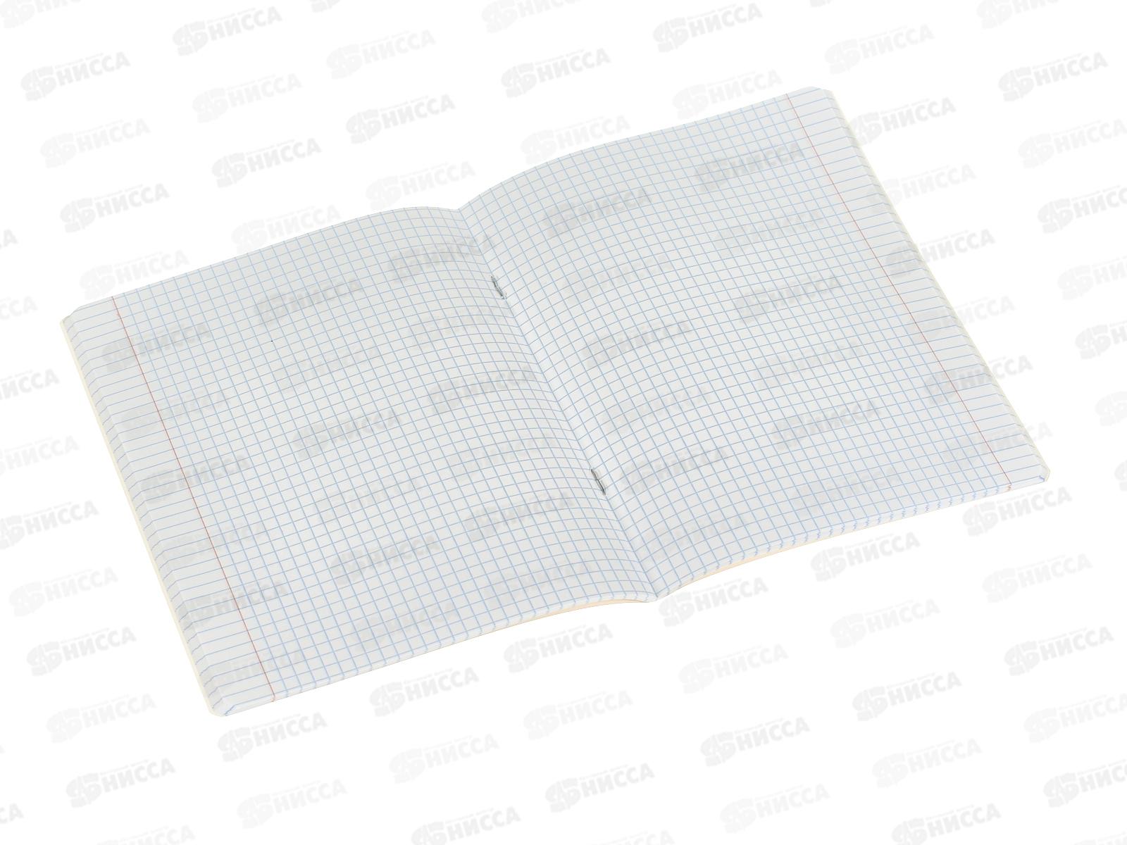 Тетрадь 48л кл. ФЕН Звери в шапочках, мел, офс. 69682  *5/50