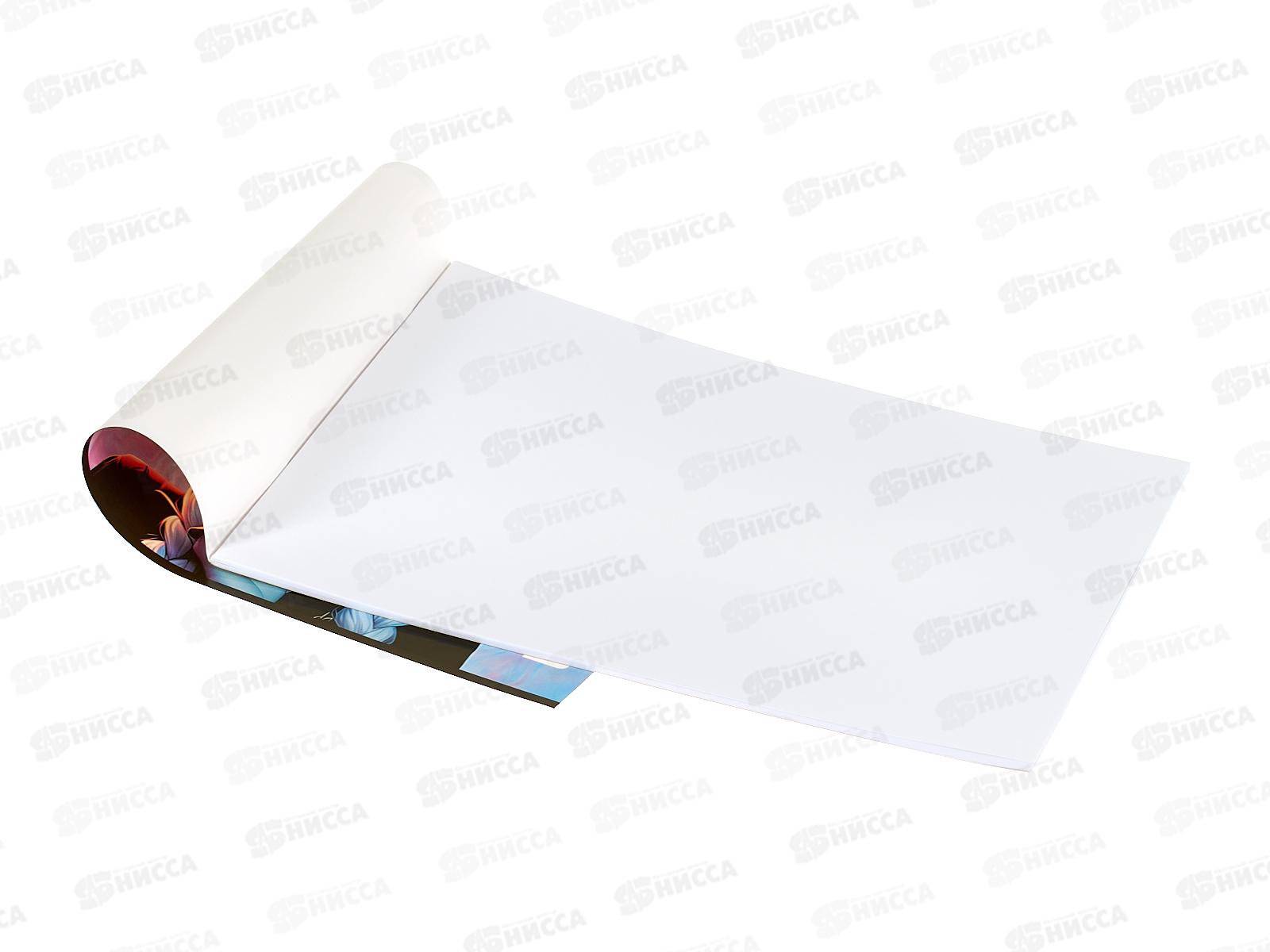 Альбом д/рис.24л ПЗБМ Девочка-леопард, микс 043478 *4/48