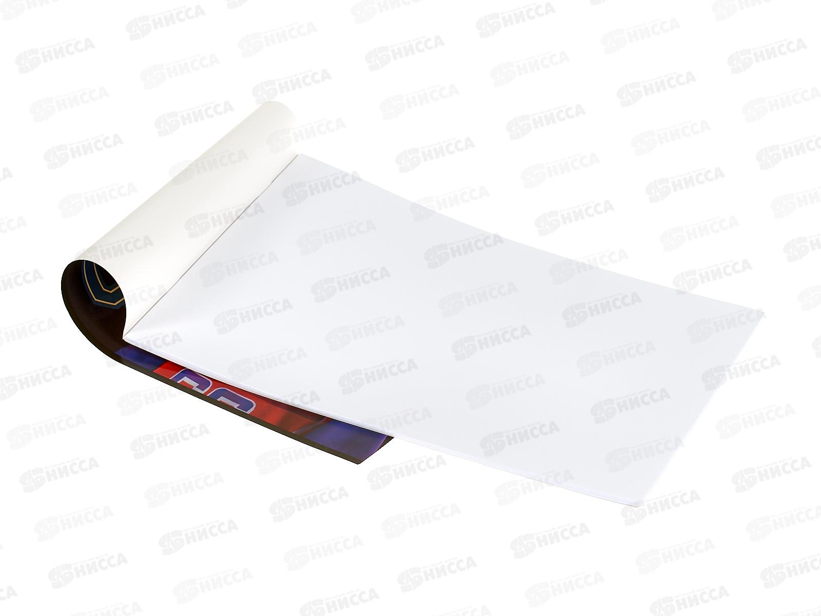 Альбом д/рис.24л ПЗБМ Брутальные коты, микс 043546 *4/48