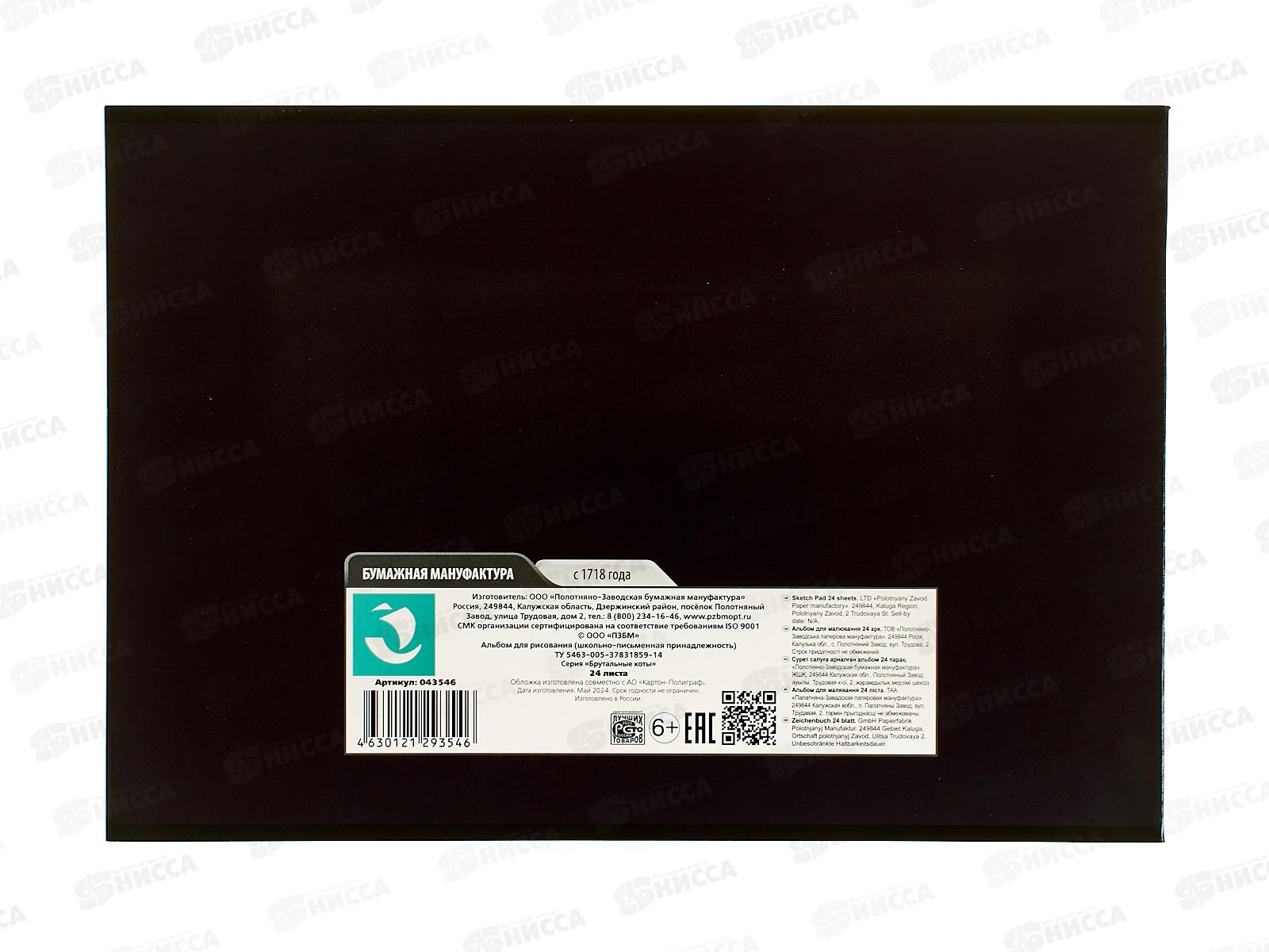 Альбом д/рис.24л ПЗБМ Брутальные коты, микс 043546 *4/48