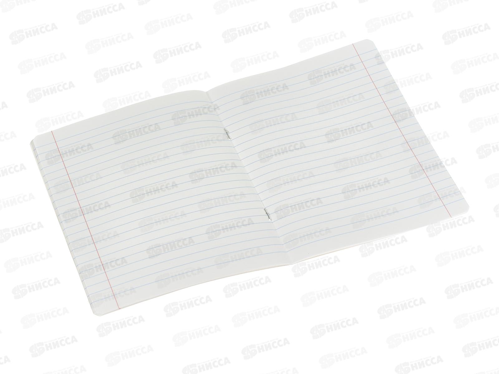 Тетрадь 18л лин. ПЗБМ Девочка- леопард 013492  *10/100