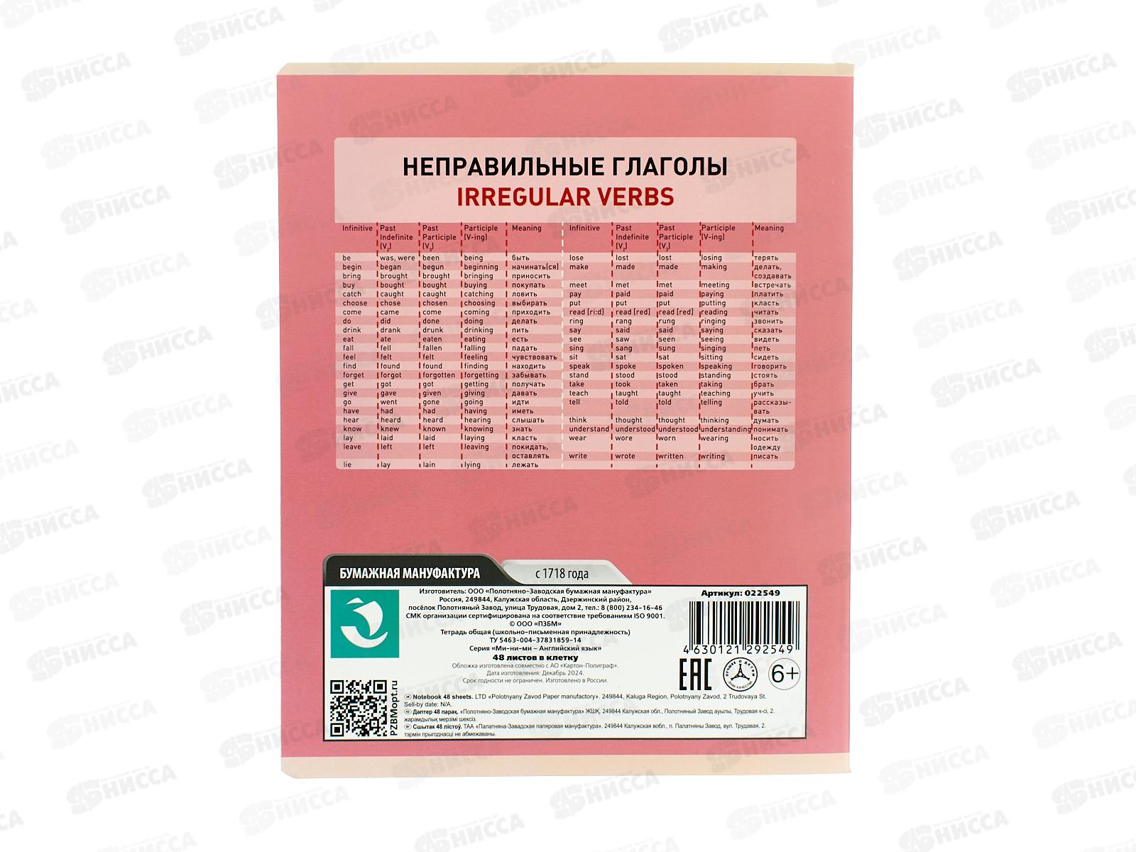 Тетрадь 48л кл. ПЗБМ Ми-ни-Ми Английский язык, 022549 *5/50