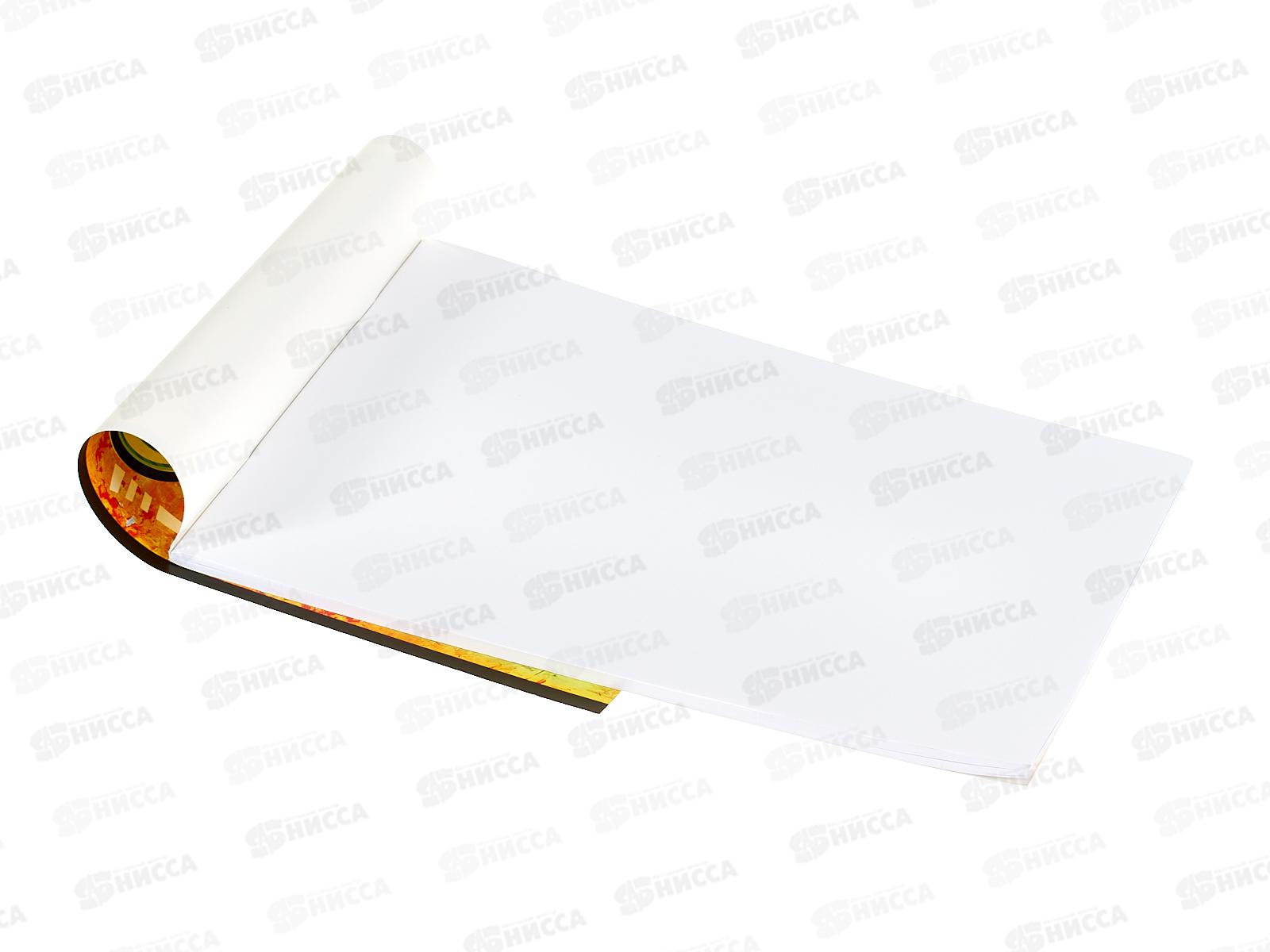 Альбом д/рис.40л ПЗБМ Граффити, микс 045670 *60