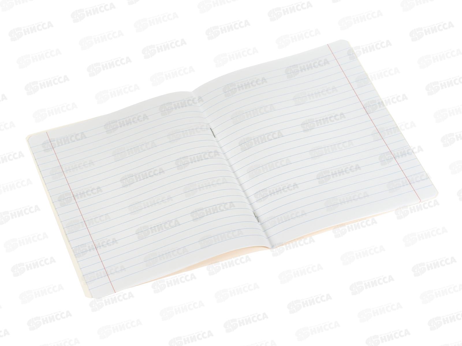 Тетрадь 12л лин. ПЗБМ Граффити, 015717 *20/120