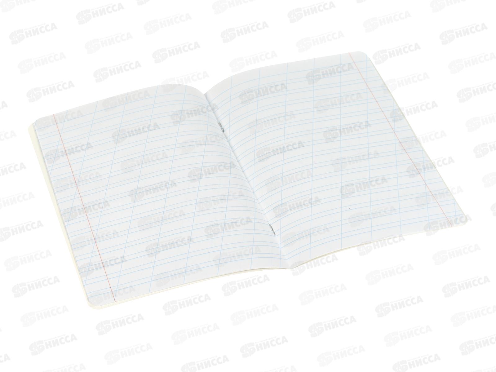 Тетрадь 12л в кос.лин. BRAU Зверушки, 107289*20