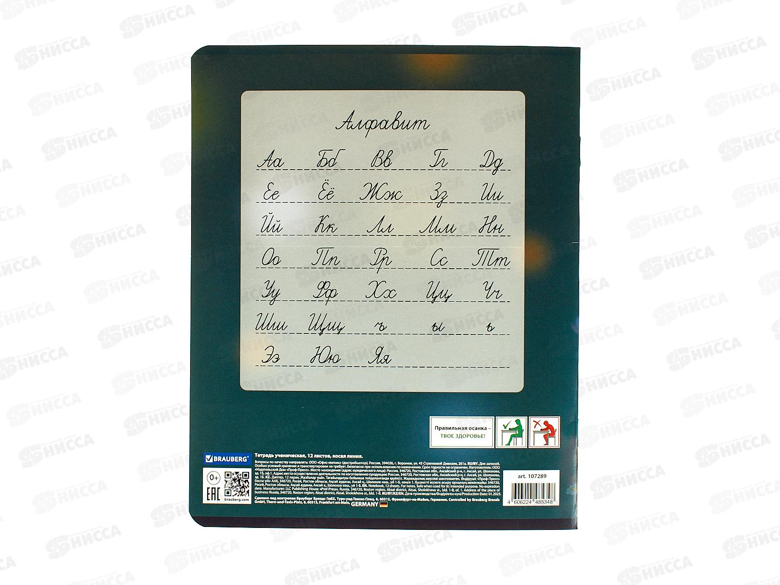 Тетрадь 12л в кос.лин. BRAU Зверушки, 107289*20