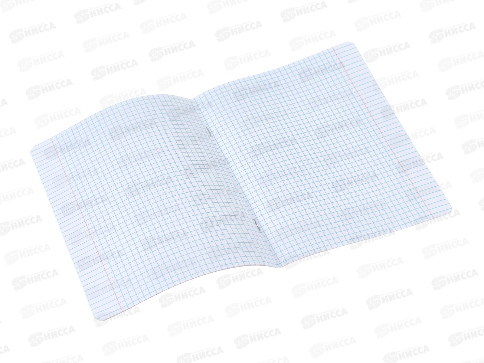 Тетрадь 12л кл. АКАД с ушками, EAC-14332/5 *200