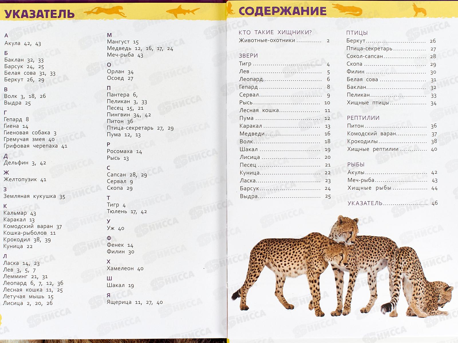 Энциклопедия Росмэн Дикие животные (Для детского сада) 64917