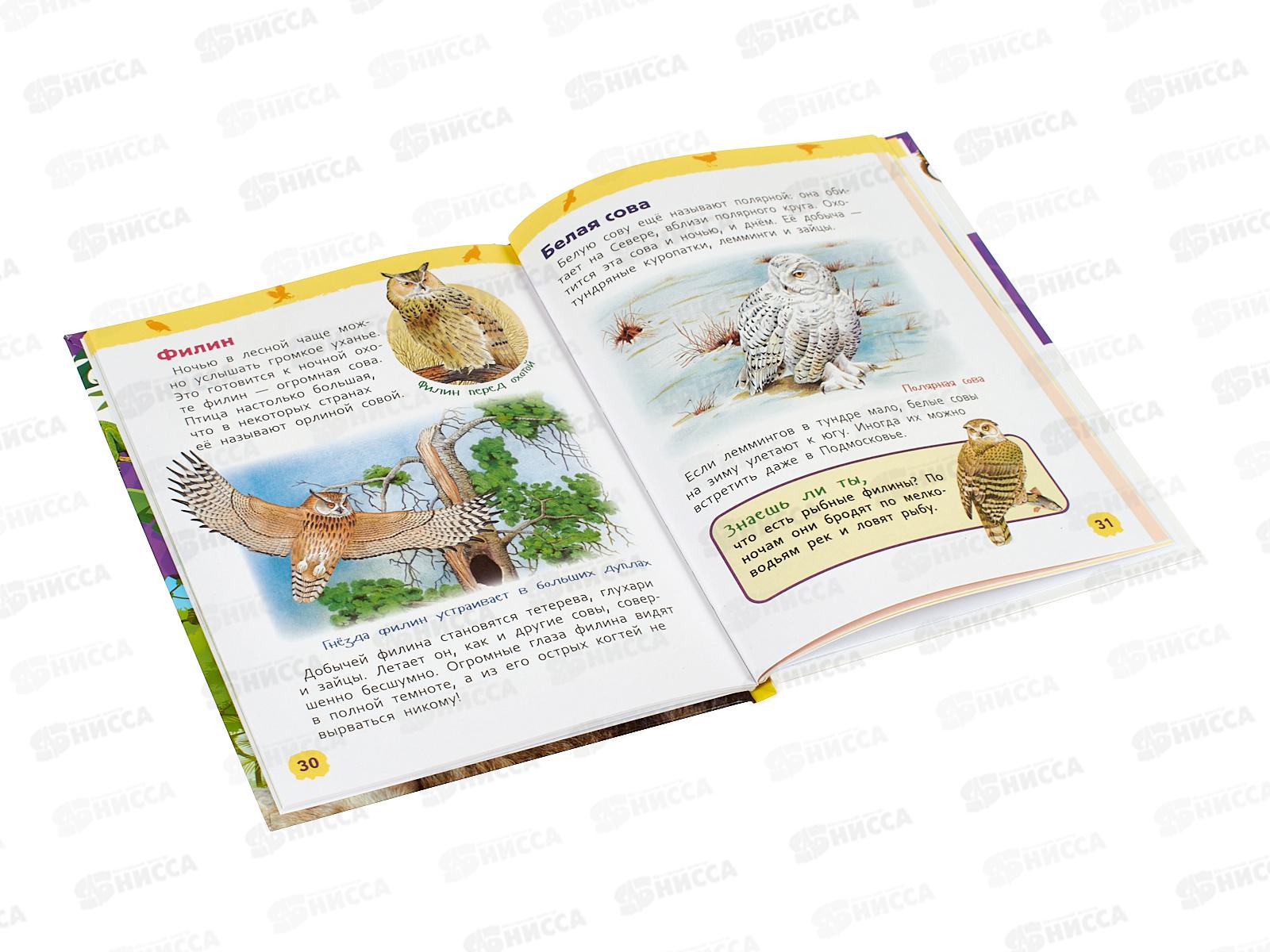 Энциклопедия Росмэн Дикие животные (Для детского сада) 64917