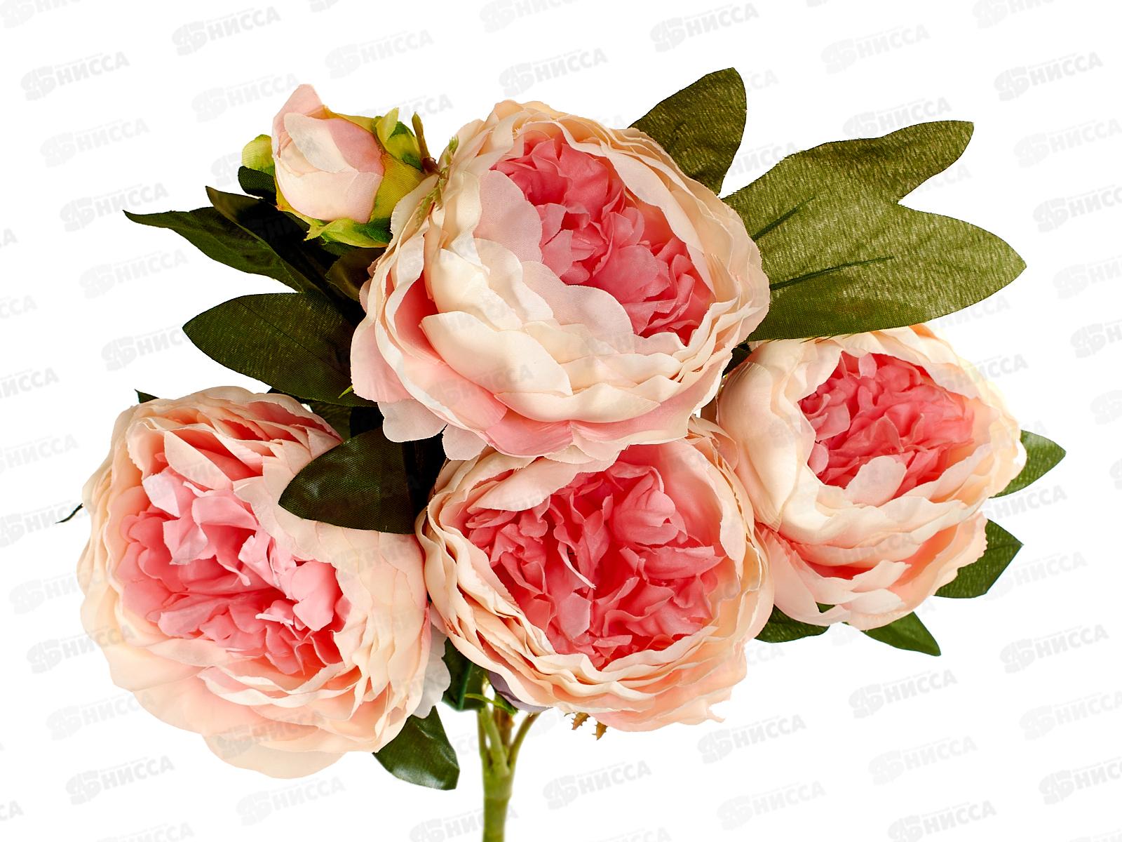 Букет 60см 6гол №77 81126 *20  Б