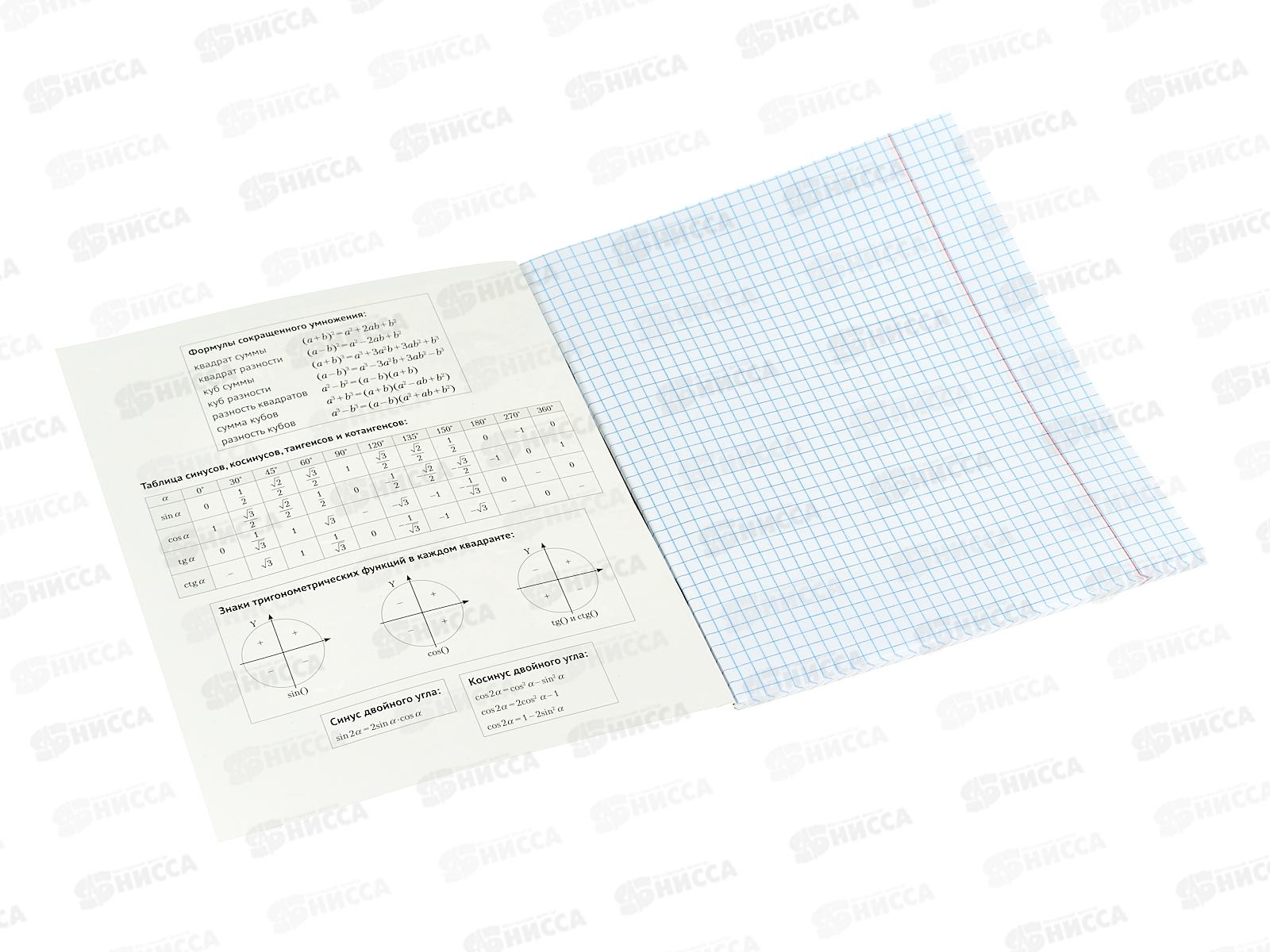 Тетрадь 48л кл. ПЛН HARDCORE Алгебра. скрепка 25038 *40