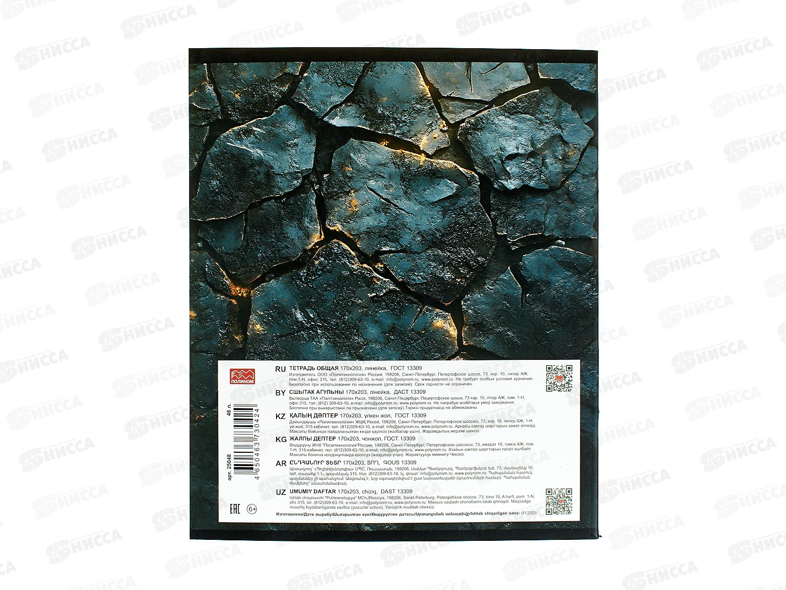 Тетрадь 48л лин. ПЛН HARDCORE Русский язык. скрепка 25048 *40