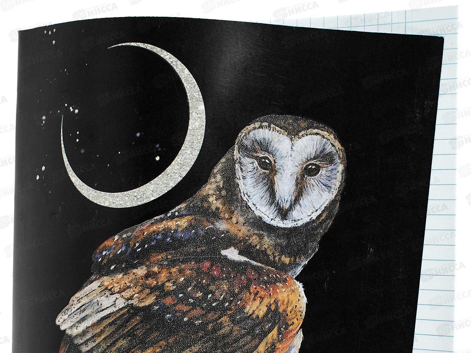 Тетрадь 48л кл. ПЛН Lunar dark Animals, скрепка 3312 *40