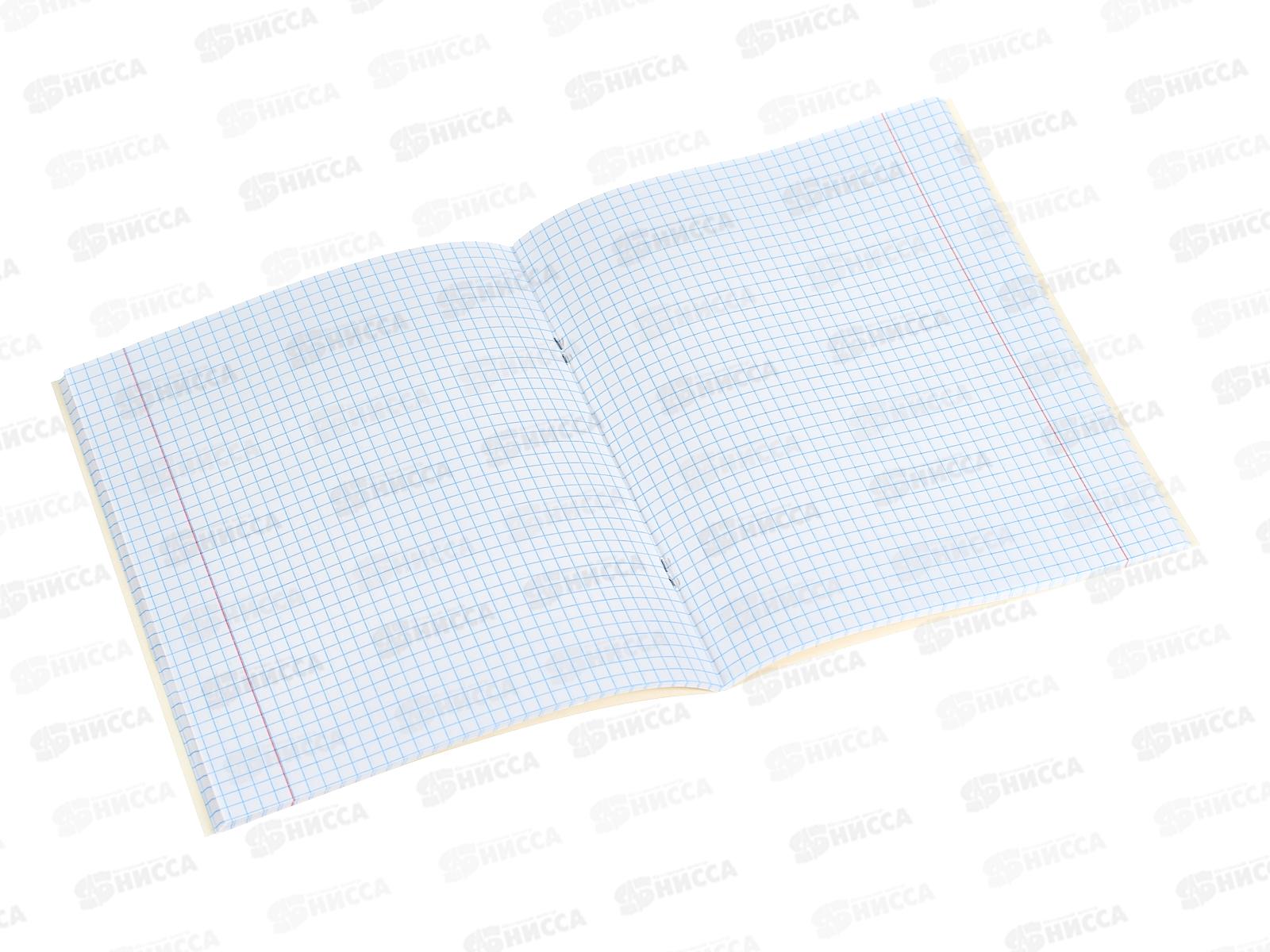 Тетрадь 48л кл. ПЛН Маленький панда, скрепка 4 диз. 3471 *40