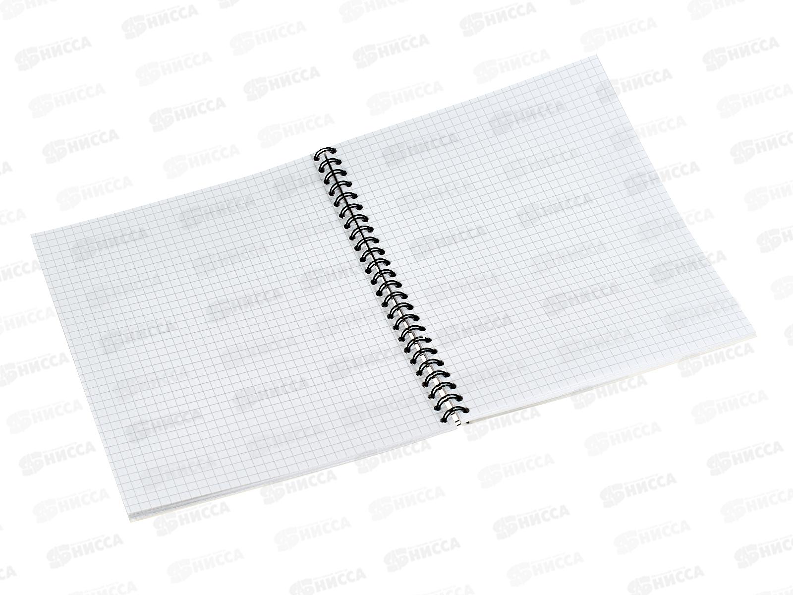 Тетрадь 96л кл. ПЛН Туманные пейзажи, мет.греб., 3202-96 *20