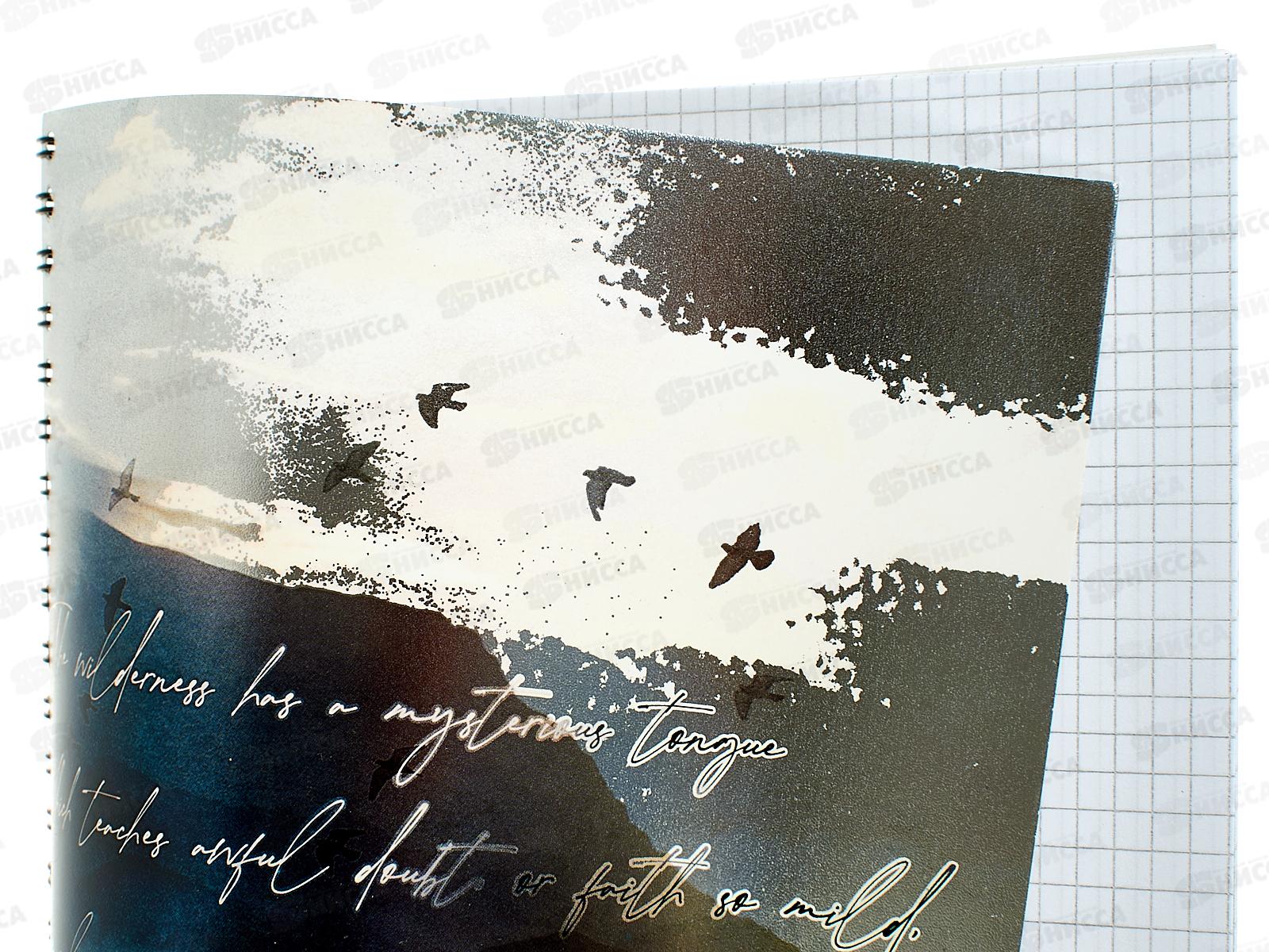 Тетрадь 96л кл. ПЛН Туманные пейзажи, мет.греб., 3202-96 *20