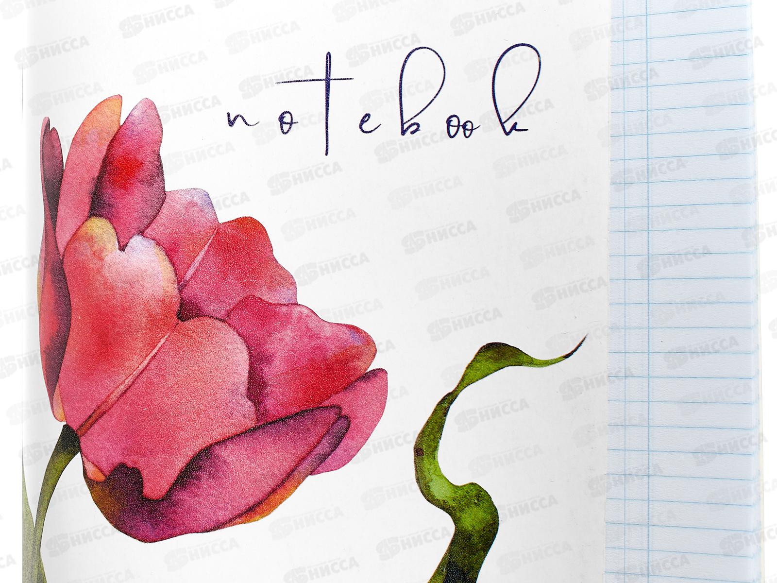 Тетрадь 48л кл. ПЛН Beautiful Tulips, скрепка., 3201 *30