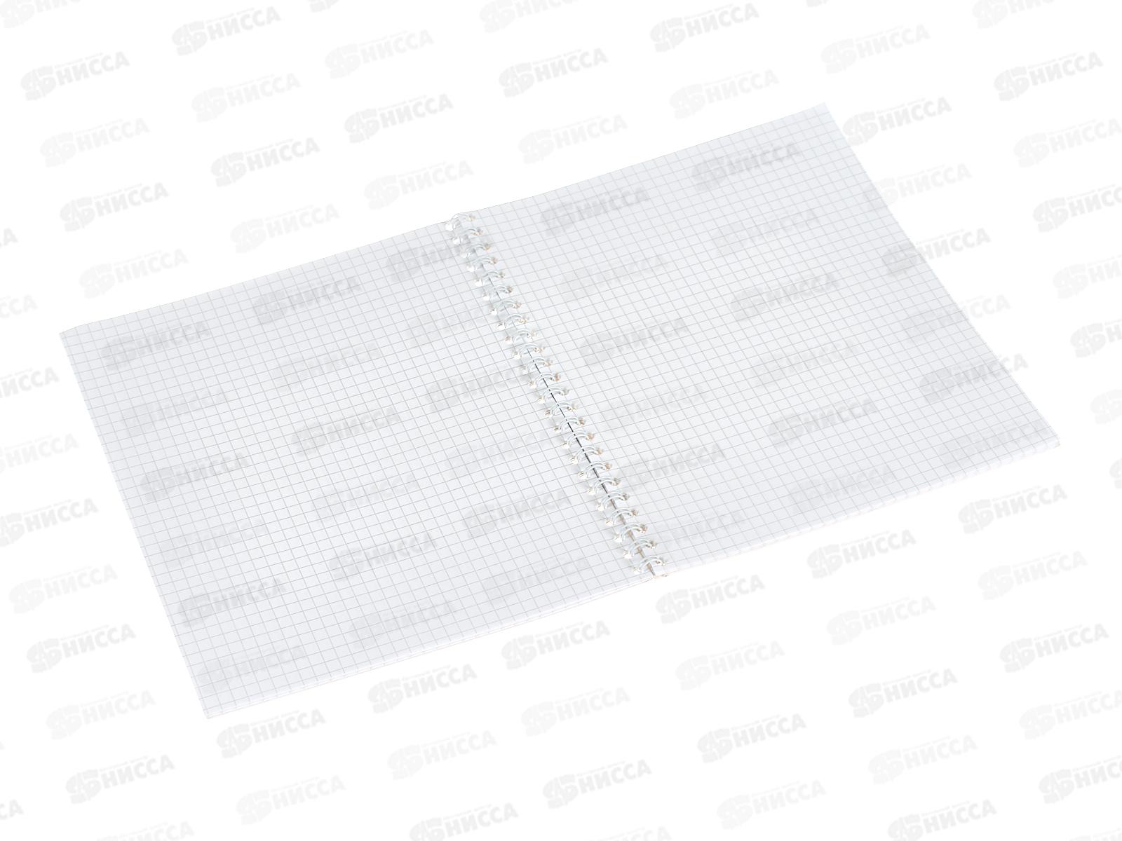 Тетрадь 48л кл. ПЛН Глупые птицы, греб.,асс., 3006-48 *40