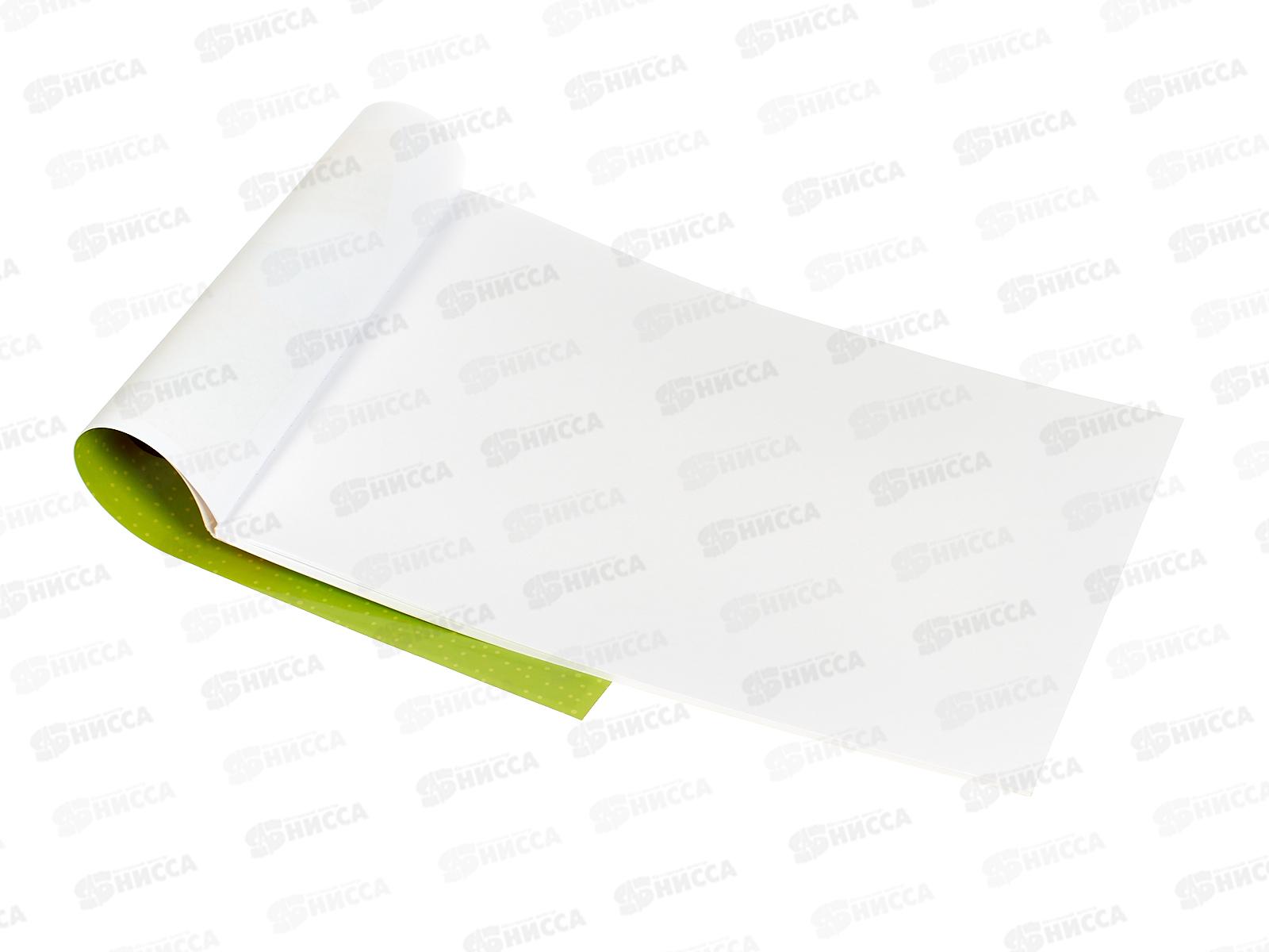 Альбом д/рис.30л ЭКСМ Кот и пес. мел.картон, склейка  А302139 *50