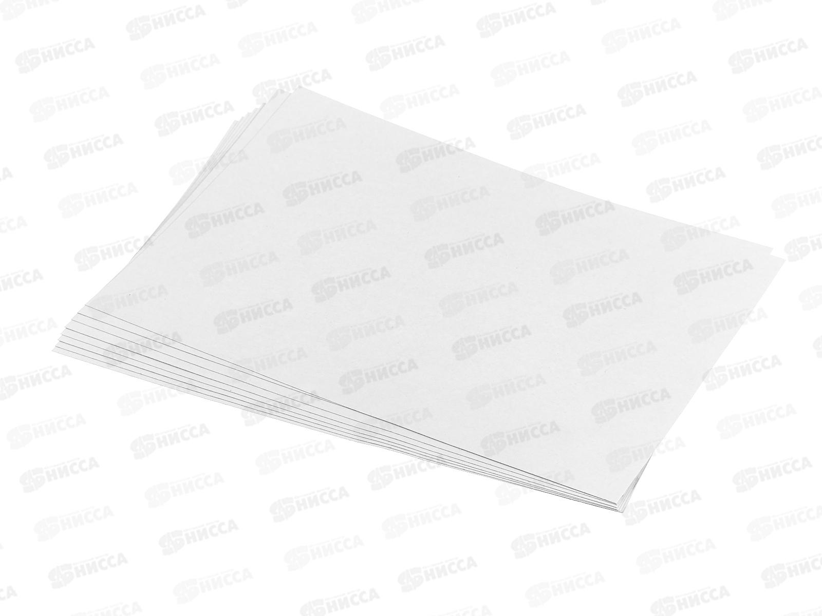 Картон Белый А4 ЭКСМ  8л Северный мишка, мел., БК8613 *40