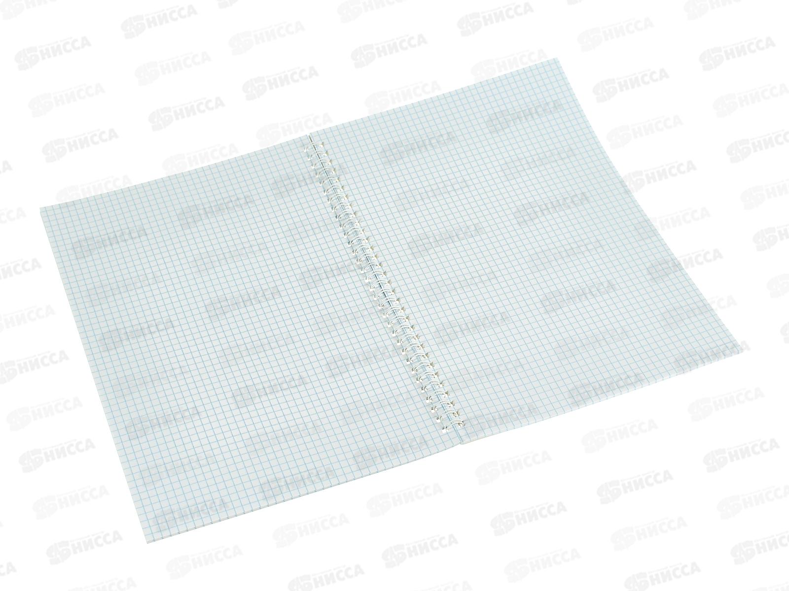 Тетрадь 60л кл. ЭКСМ А4 Лев, греб. ТС4605031 *6/30