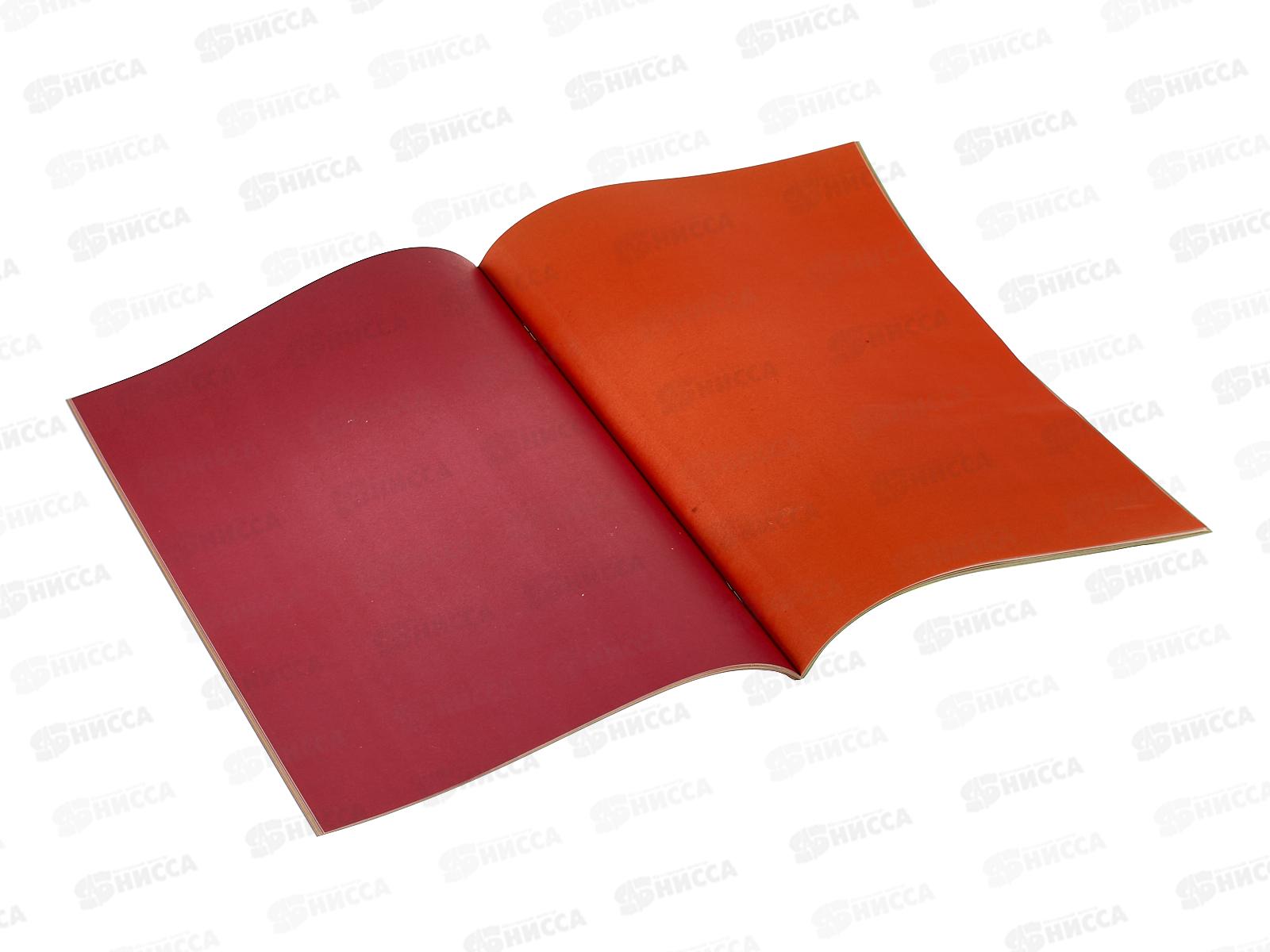 Цветная бум. 24л 24цв. Пифагор  А4 Умный котик 128002  *60