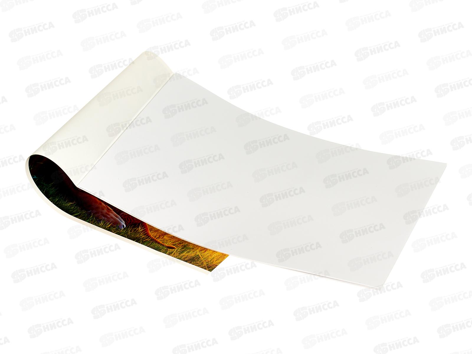 Альбом д/рис.12л  BG Мама и я. А4 на скрепке 08584 *64