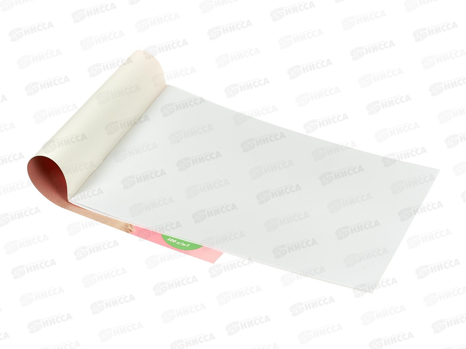 Альбом для рисования 20л ПП Улыбчивые животные, 20-8578