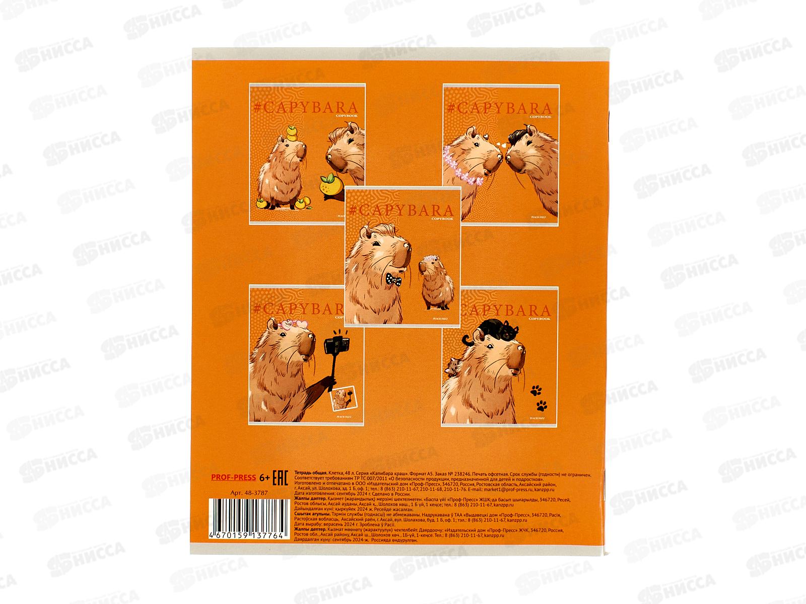 Тетрадь 48л кл. ПП Капибара Краш, 48-3787 *10/100