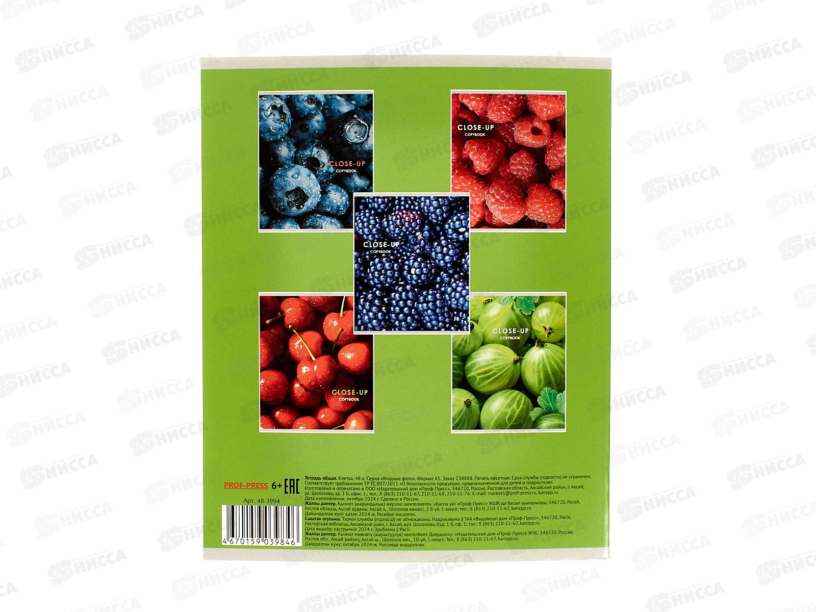 Тетрадь 48л клетка ПП Ягодное фото, 48-3994 *10/100