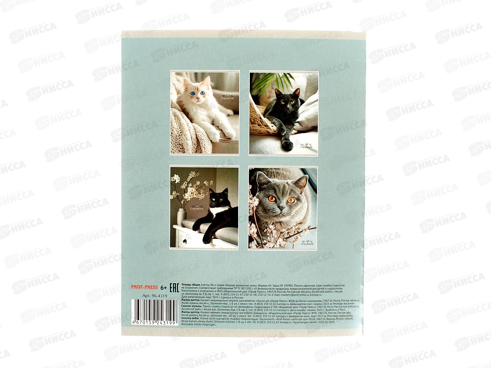 Тетрадь 96л клетка ПП Разные домашние коты, 96-4319 *6/48