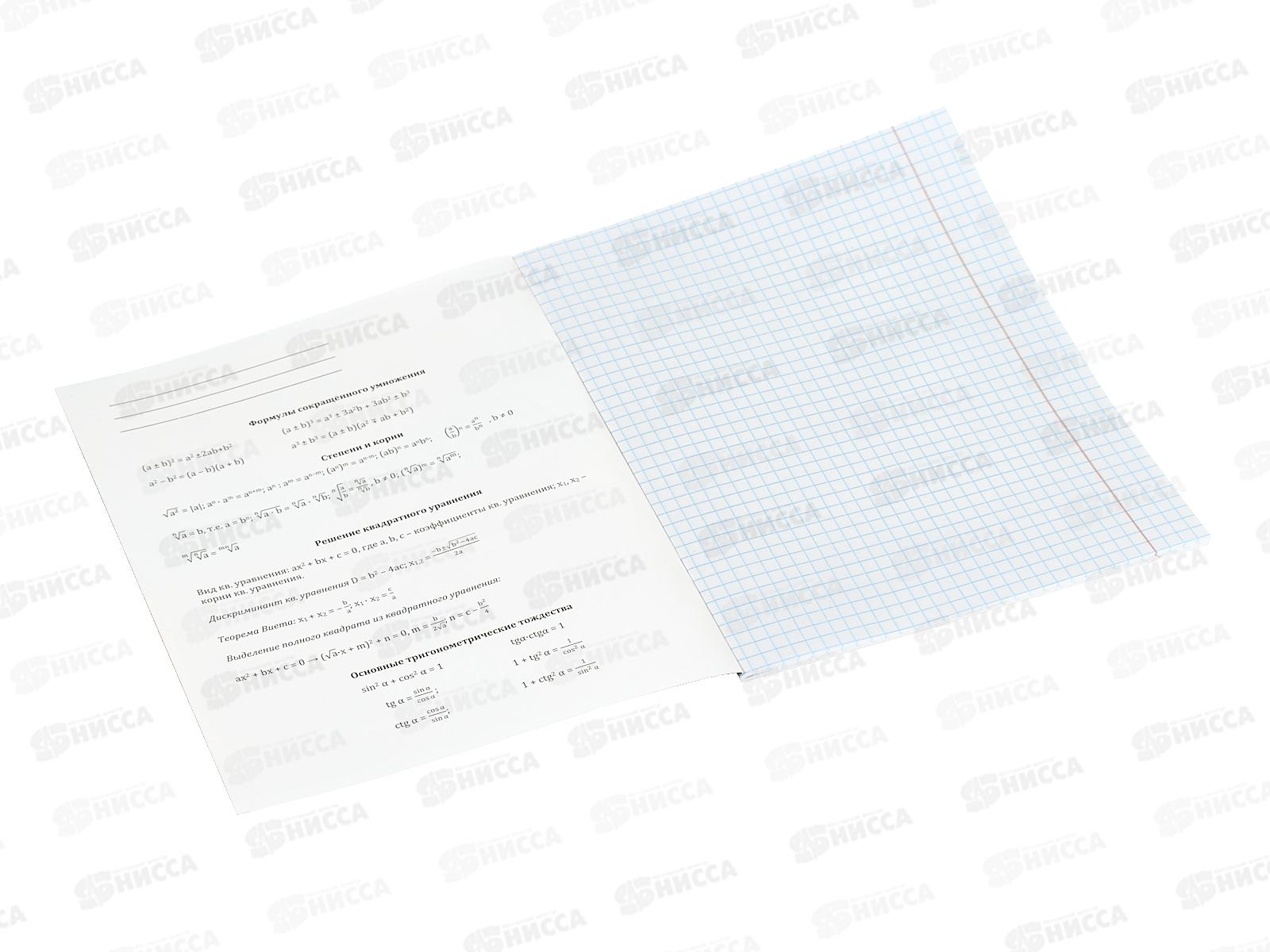 Тетрадь 36л клетка Profit &quotМир вокруг&quot Алгебра, эконом, 36-2381 *10/80