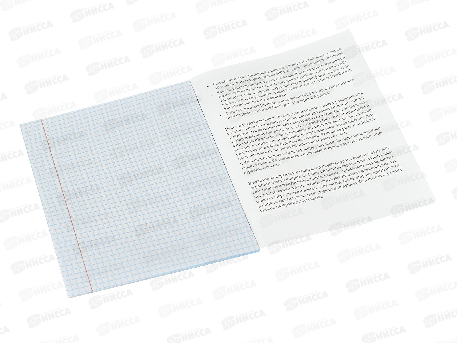 Тетрадь 36л клетка Profit &quotМир вокруг&quot Иностранный язык, 36-2386 *10/80